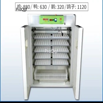 

incubator chicken egg 880pcs Ngryise