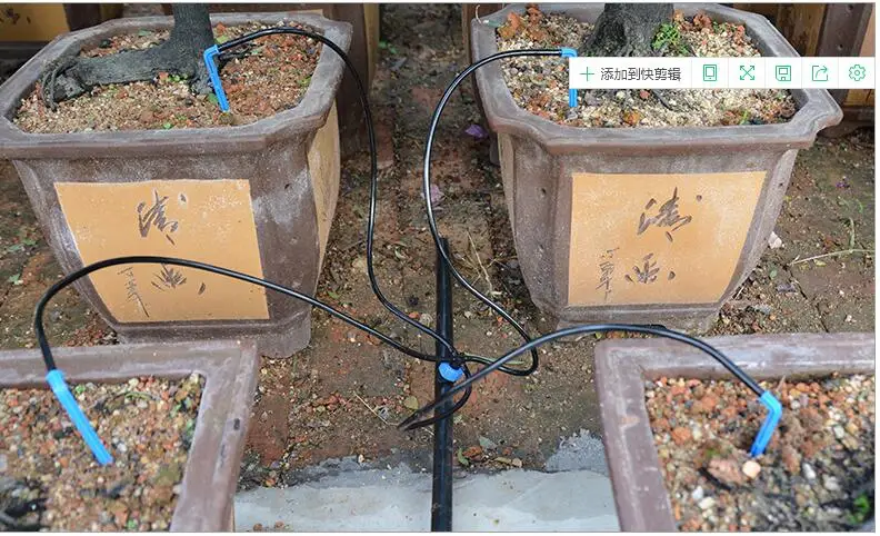 QQ截图20200424164244