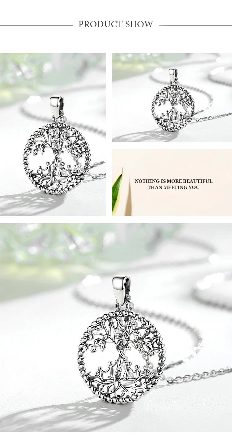 CYD475-5母亲树-(1)_06