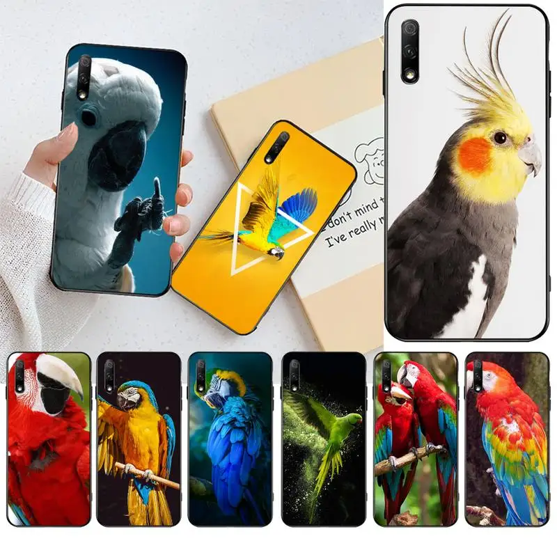 Телефонный чехол Ringneck с рисунком попугая для Huawei Nova 6se 7 7pro 7se honor 7A 8A 7C Prime2019 |