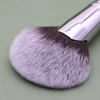 Sywinas Fan Brush Highlighter Soft Face Beauty Painting Powder Foundation Blush bronzer Blending Makeup Brushes ► Photo 3/6