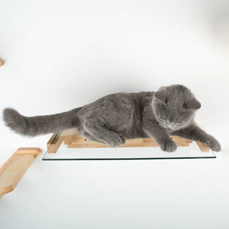 Твердая древесина стекло кошка трамплин кошка настольная игрушка прозрачная кошка настенная Кровать Дом