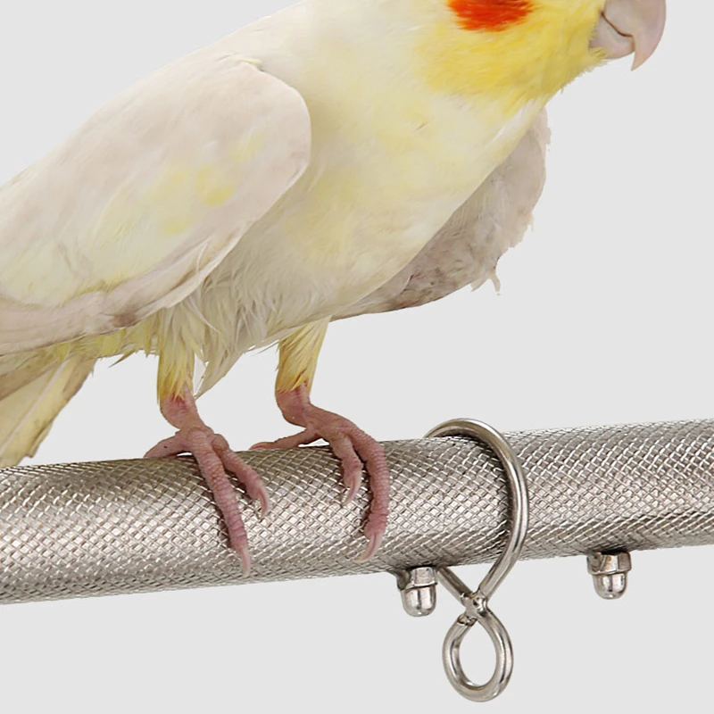 Portable-DIY-Stainless-Steel-Parrot-Stands-Bird-Hanging-Playing-Platform-Pet-Bird-Accessories-CW078 (2)_副本