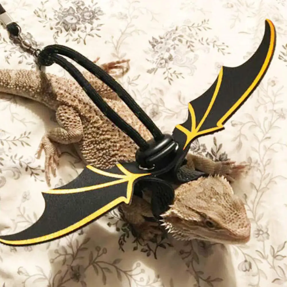 

Lizard Reptile Pet Leash Transportation Outdoor Walking Leash Harness Reptile Lizard Dragon Bearded Harness Adjustable Rope