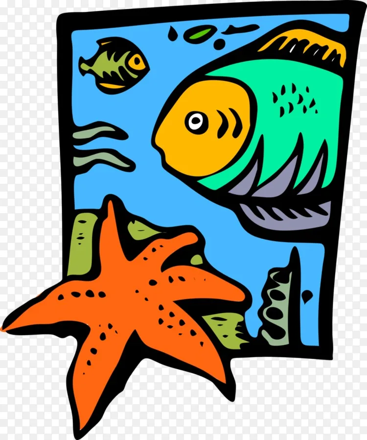 海军陆战队海洋生物美国海军陆战队剪贴画-海星