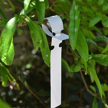 

100PCS Multipurpose Durable Ring Sleeve Plastic Label High Gardening Label Fruit Tree Label Orchid Special Label