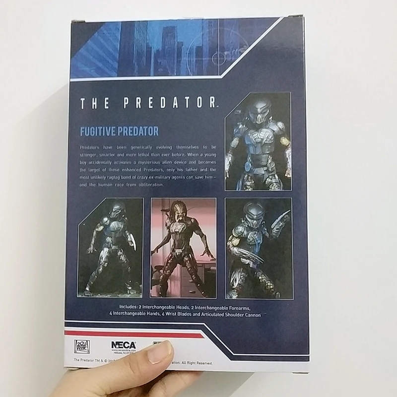 WuTa_2019-11-08_18-34-23