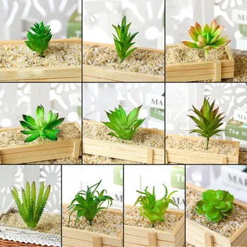 

Simulation Of Succulents, Creative DIY Design Supplies, Flower Arrangement Accessories 10pcs