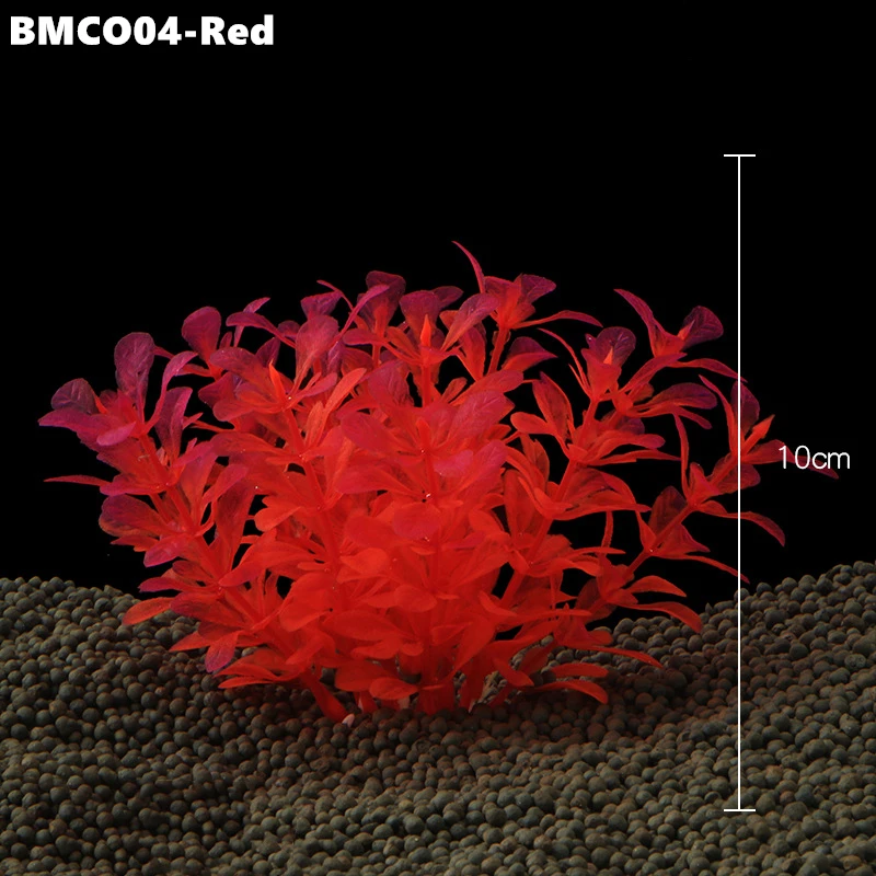 BMCO04 (5)