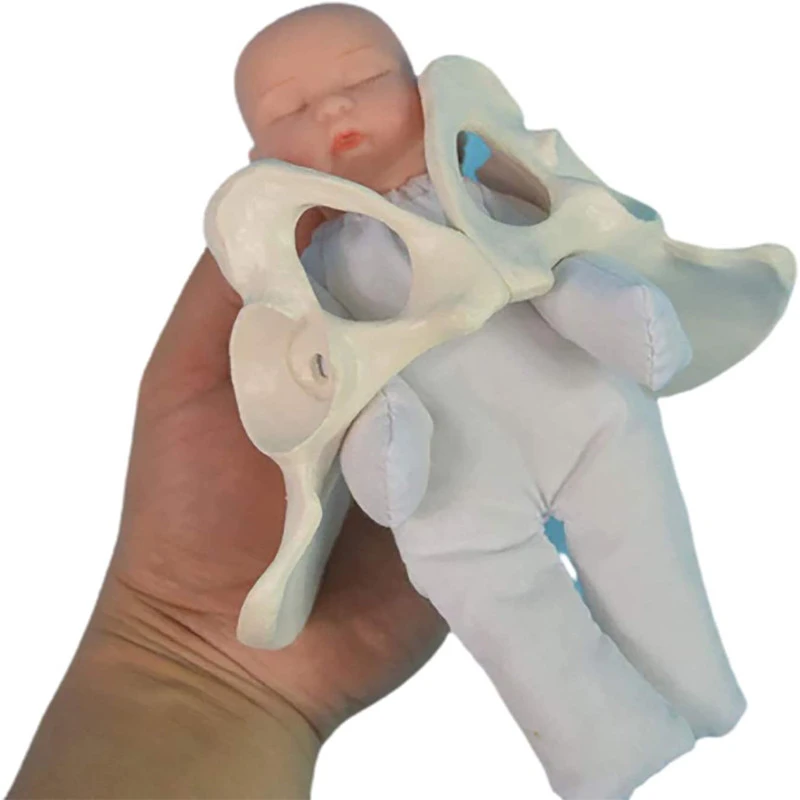 Mini Bassin Feminin Modele D Accoucher Modele Feminin Et Modele Bebe Formation De Sage Femme Pour L Etude Materiel D Enseignement Medical Aliexpress Mini Bassin Feminin Modele D Accoucher Modele Feminin Et Modele Bebe Formation De Sage Femme Pour L Etude Materiel D Enseignement Medical Aliexpress
