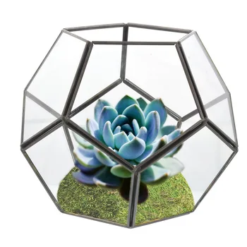 

Junejour Handmade Geometric Crystal Shape Glass Plant Greenhouse Tabletop Box House Plants Flower Landscape Cube Vase