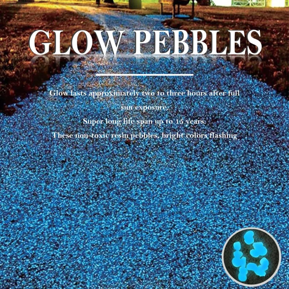 ZM606701-C-20190629-1