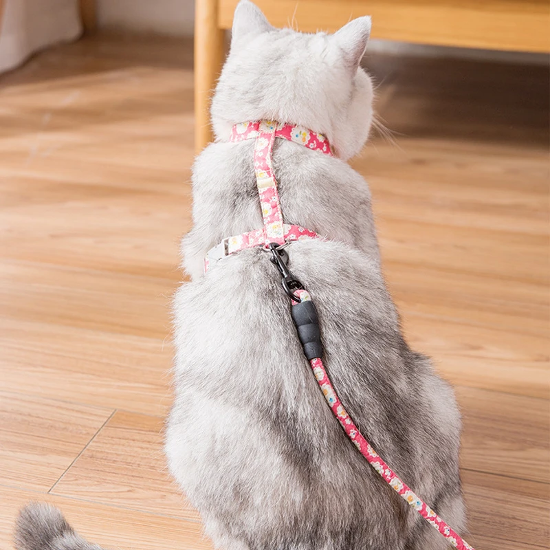 Comfortable Floral Cat Harness Bow Pet Leashes Chest Adjustable Harness Flower Cats Leashes Walk Chest Strap For Cat Collars Comfortable Floral Cat Harness Bow Pet Leashes Chest Adjustable Harness Flower Cats Leashes Walk Chest Strap For Cat Collars