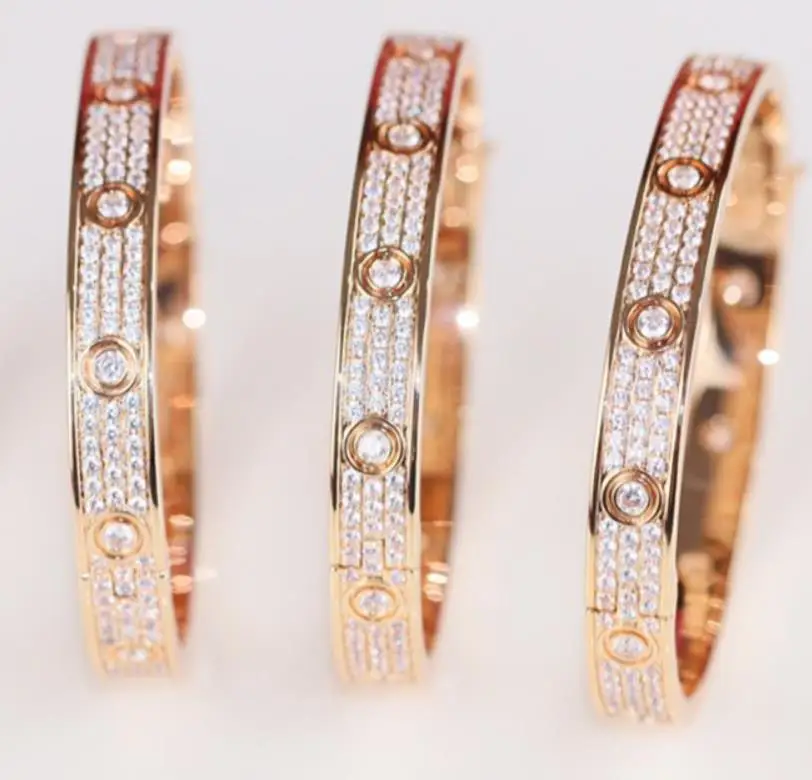 

925 Sterling Silver Fashion Geometric circle silver bracelet charm CZ crystal Full Stone bangle elegant rose gold lock bangle