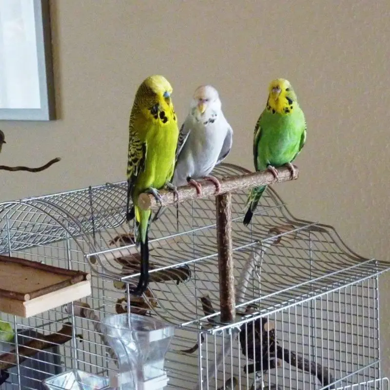 Bird Parrots Stand Bar Toy Parrot Bite Chew Toys Swing Pet Rest Play Toy Birds Supplies