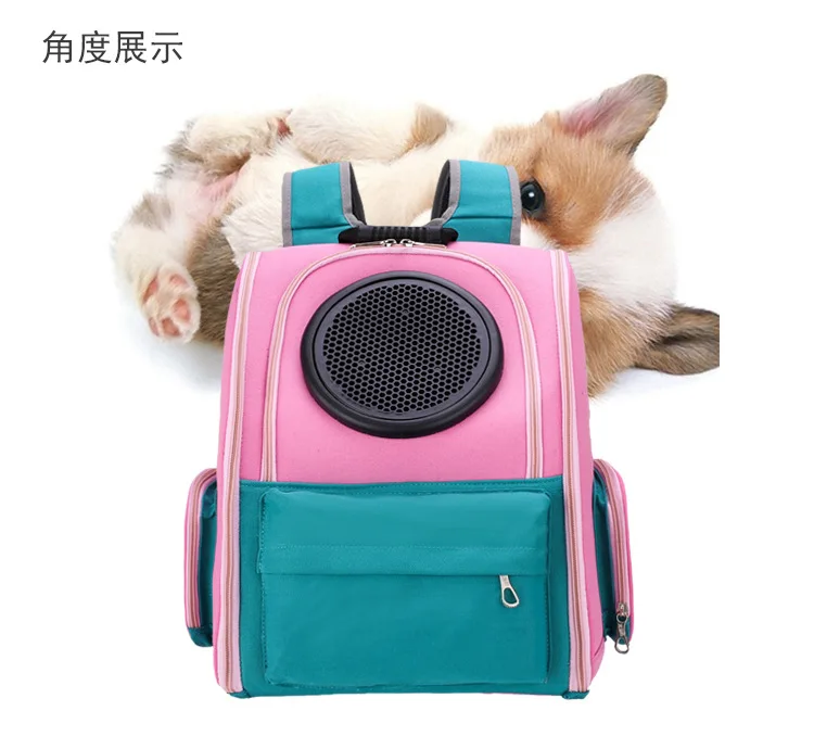 12372515512_686886075