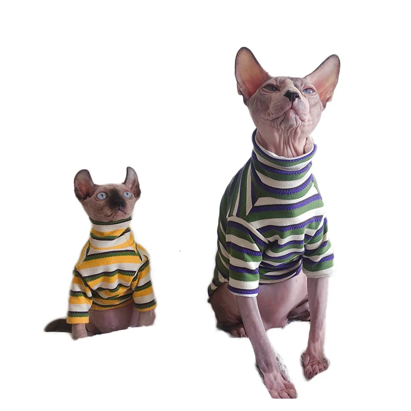 Gucci Cat Clothes | Luxury Gucci Coat for Sphynx Hairless Cat ?