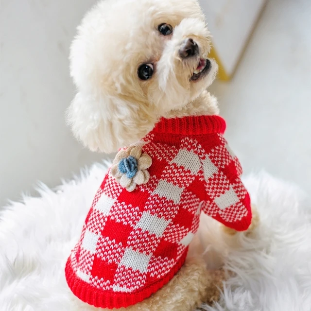 comfort sweater for dogs
