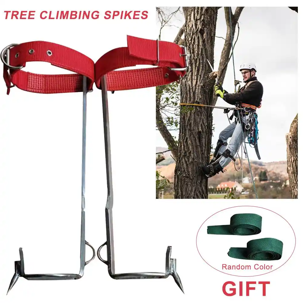 arborist climbing shoes