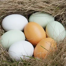 Дешевые поддельные моделирование яиц деревянные куриные утиные, гусиные манекены окрашенные яйца для детей развивающие игрушки искусственное питание Пасхальная игрушка