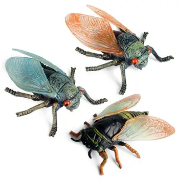 

3pcs/set Simulation Solid Static Animal Model Ornament Realistic Insect Cicada Children Educational Prop Scene Decor