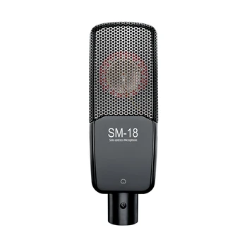 

New Takstar SM-18 Studio Professional Recording Microphone Cardioid Condenser Side Address Cartridge Φ34mm large gold plated