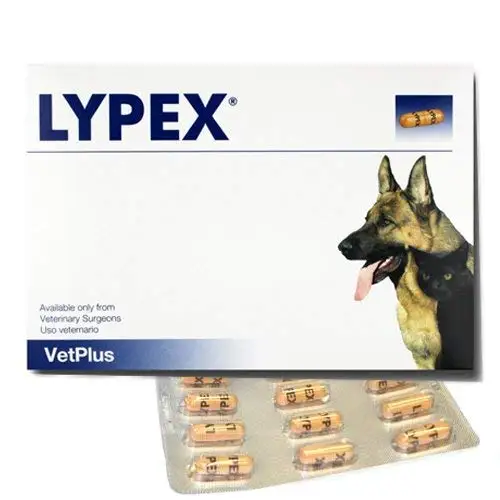 best hip and joint dog treats