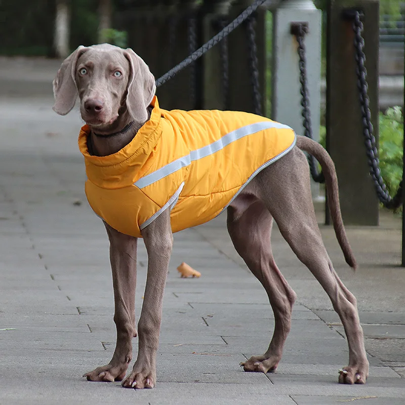 Winter Dog Coat Warm Waterproof Dog Jacket Vest Cold Weather Coats, for Small Medium and Large Dogs Winter Coat(Red, 4XL)