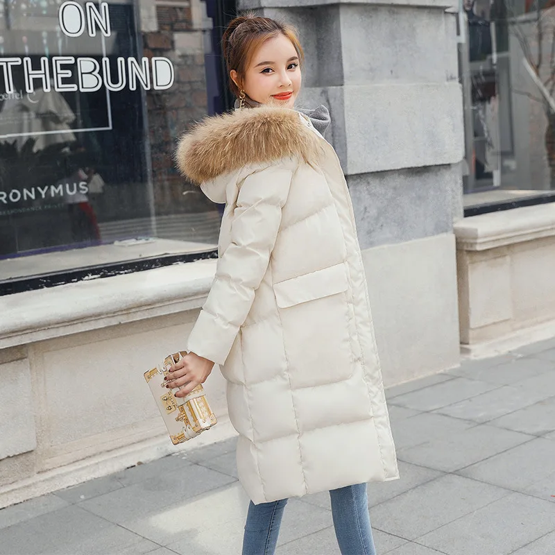 

Cotton Coat Winter Coat Women's 2018 New Style Fashion Korean-style Loose-Fit Raccoon Fur Collar Mid-length Hooded Cotton-padded