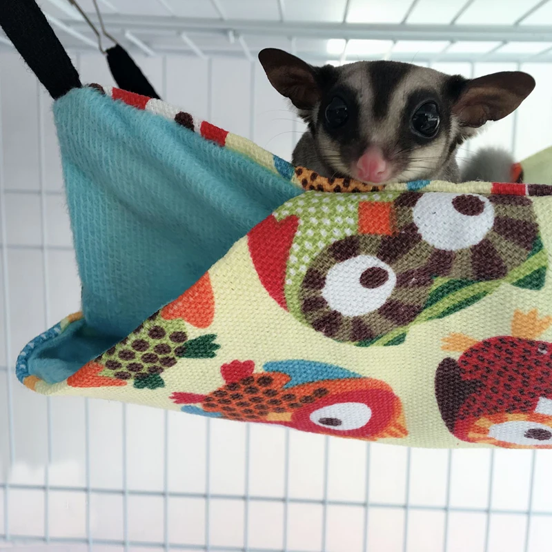 11354461135_578043734