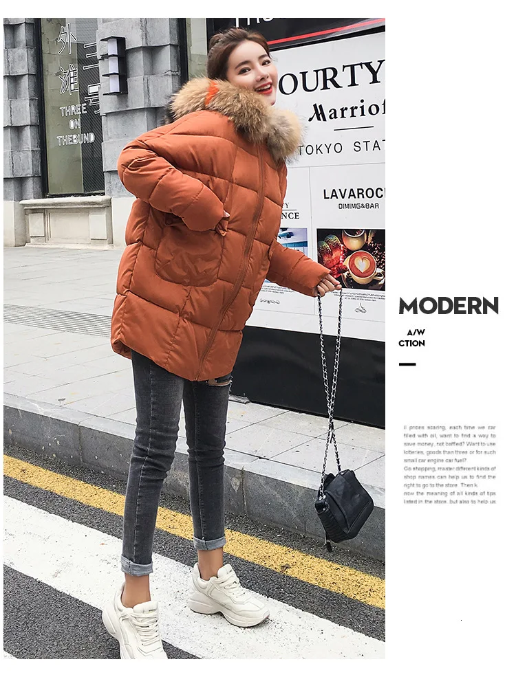 9036797022_1006637240