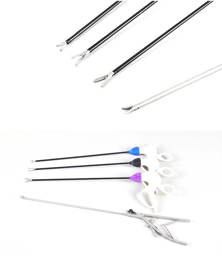 O1CN01u9TwQt1f6oCpotTs5_!!3960273958