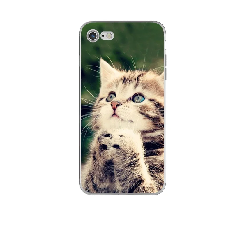 Чехол ciciber для телефона с животными кошкой собакой iPhone 11 Pro X XS MAX мягкий чехол из