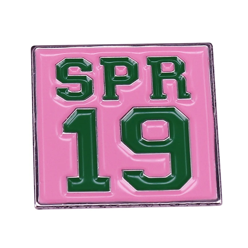 Spring 19 Pin Delta Sigma Theta DST Members Jewelry