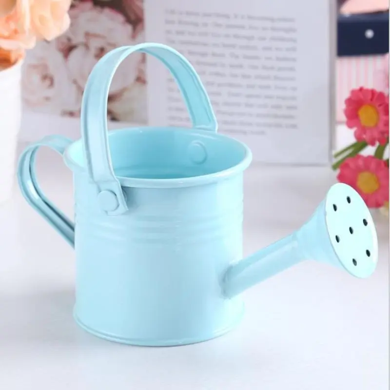 1pc 2021 New Candy Color Mini Sprinkler Home Garden Indoor Vintage Flower Metal Planting Pot Watering Iron Pott Cheap Wholesale
