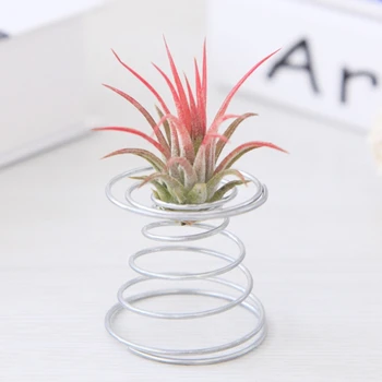 

Air Plant Spring Wire Tabletop Tillandsia Holder Miniature Gardening Decorations
