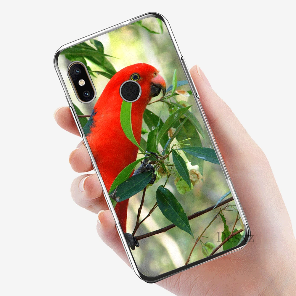 Мобильный чехол для телефона для Xiaomi mi CC9 CC9E 9T mi x 2 S, 6, 8, 9, SE A1 A2 5X 6X макс 3 A3 Pro Lite чехол попугай - Цвет: 6
