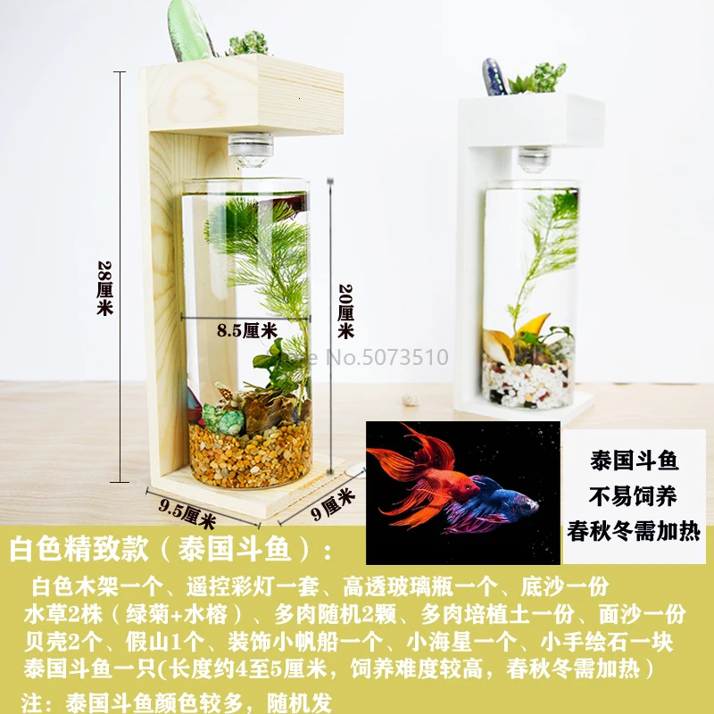 Creative Desktop Fish Tank Home Desk Ecological Fish Tank Microscopic Fleshy Thai Fish Tank Aquarium Plastic Fish Tank - Цвет: Прозрачный