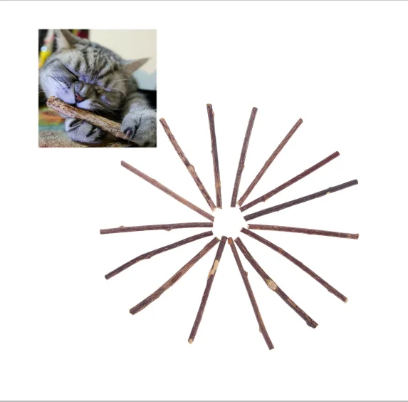 15&20pcs Natural Catnip Pet Cat Molar Toothpaste Stick Actinidia Fruit Silvervine Cat Snacks Sticks Pet Cleaning Teeth