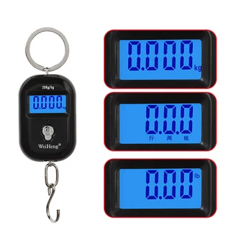 

25kg x 10g Portable Hanging Scale Mini Digital Scale for Fishing Luggage Travel Weighting Keychain Electronic Scale with Hook