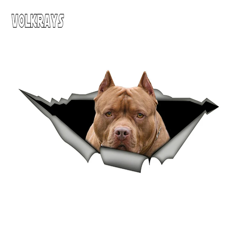 Коричневые американские наклейки Volkrays на автомобиль Pitbull забавные для домашних