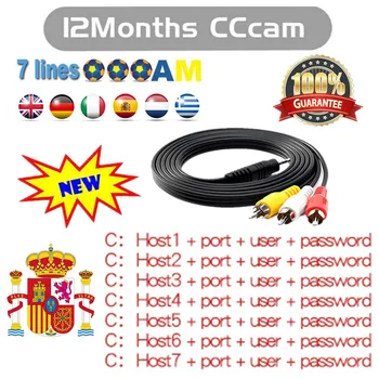 

Europe Cccam Cline for 1 year Spain DVB-S2 Germany Poland Portugal 3/7 lines Europe Cline for Gtmedia V8 satellite receiver