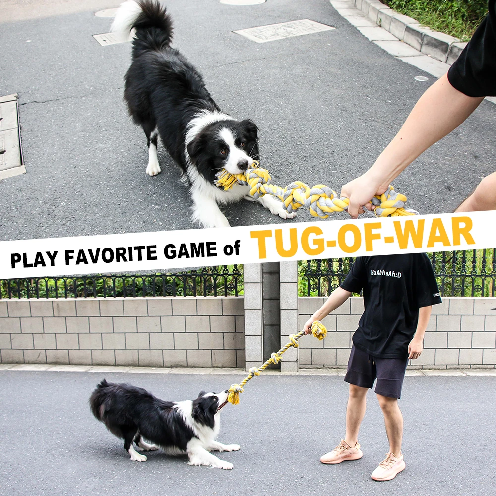 tug of war toy for dogs