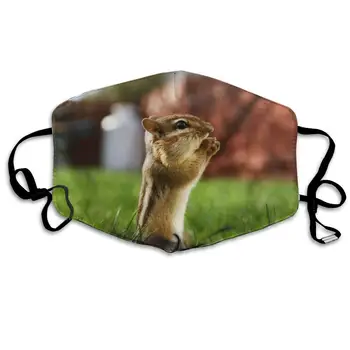 

Mouth Mask For Daily Dress Up, Squirrel Anti-dust Mouth-Muffle, Washable Reusable Holiday Half Face Masks For Mens And Womens