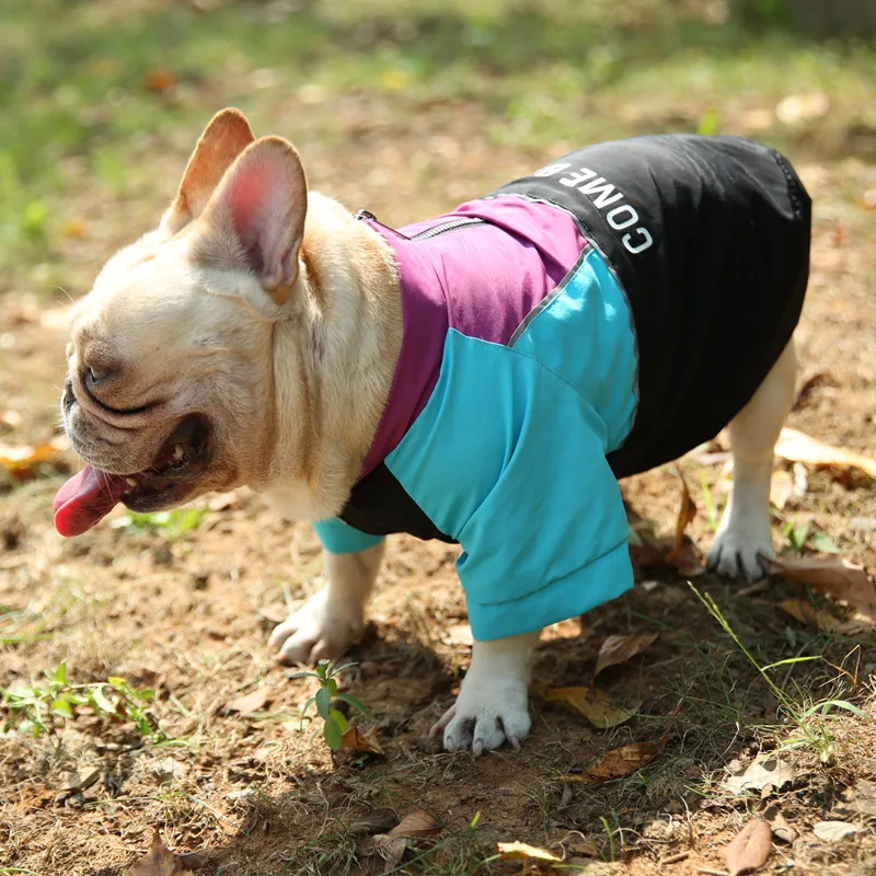 Hipidog стоячий ошейник модная одежда для собак, куртки для одежда для щенков