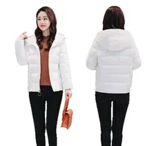 Online Celebrity Dongdaemun Bright Surface down Jacket Cotton-padded Clothes Women's Short down Coat New Style Winter CHIC