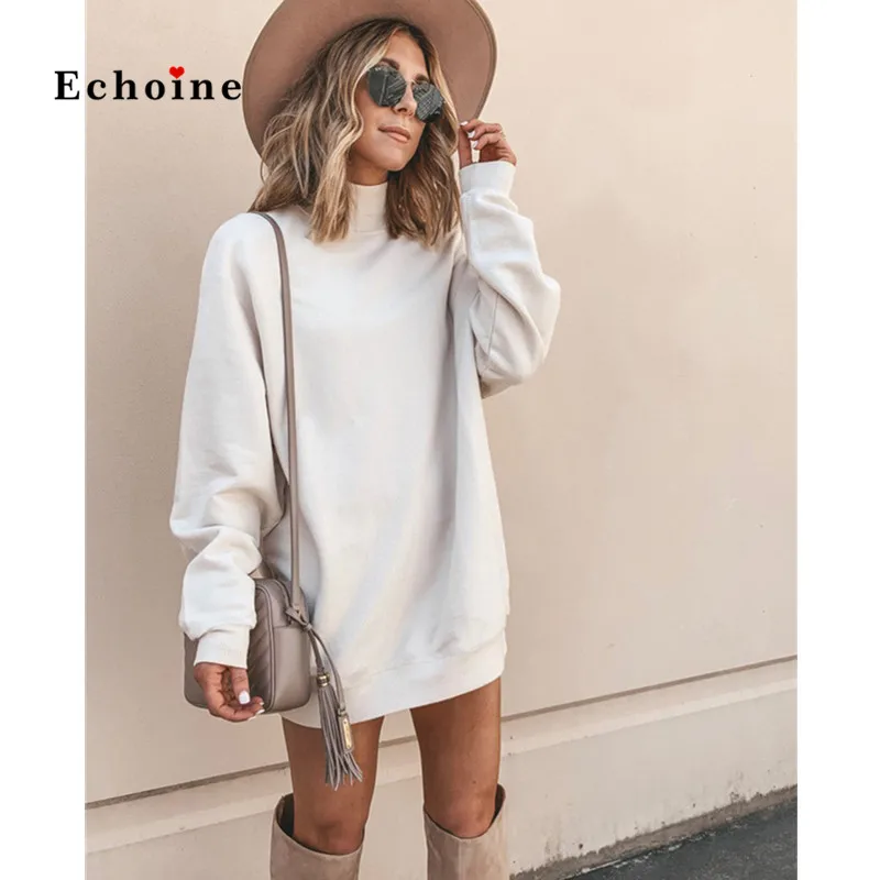 Echoine, Женская толстовка, модная, свободная, с высоким воротом, с длинным рукавом, негабаритная, повседневные топы, минималистичный свитер, пуловеры, уличная одежда