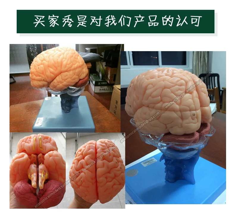 12403 买
