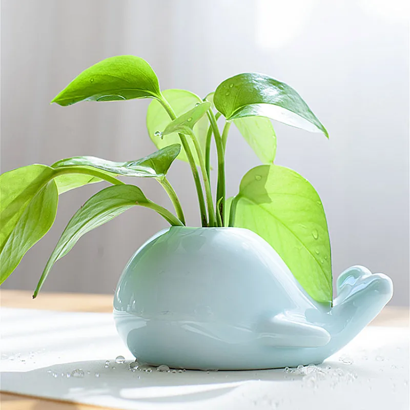 Современная керамическая ваза креативный КИТ в форме животных гидропонная