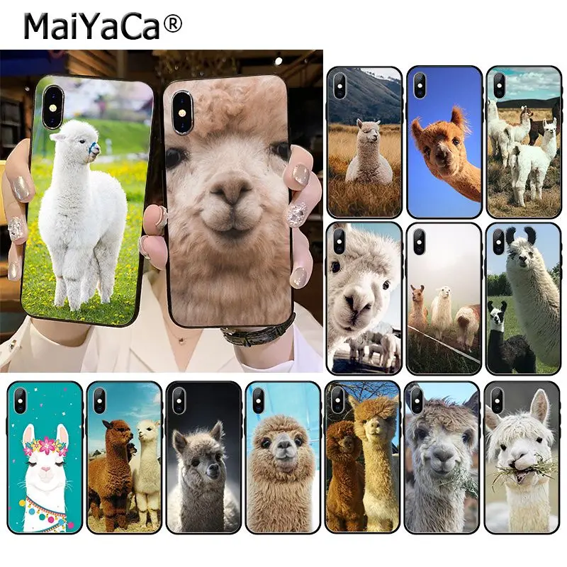 Lama Llama Alpacas Animal Phone Accessories Case for iphone 11 12 Pro XS MAX XR 8 7 6 Plus 5 5S SE 12mini | Мобильные телефоны и